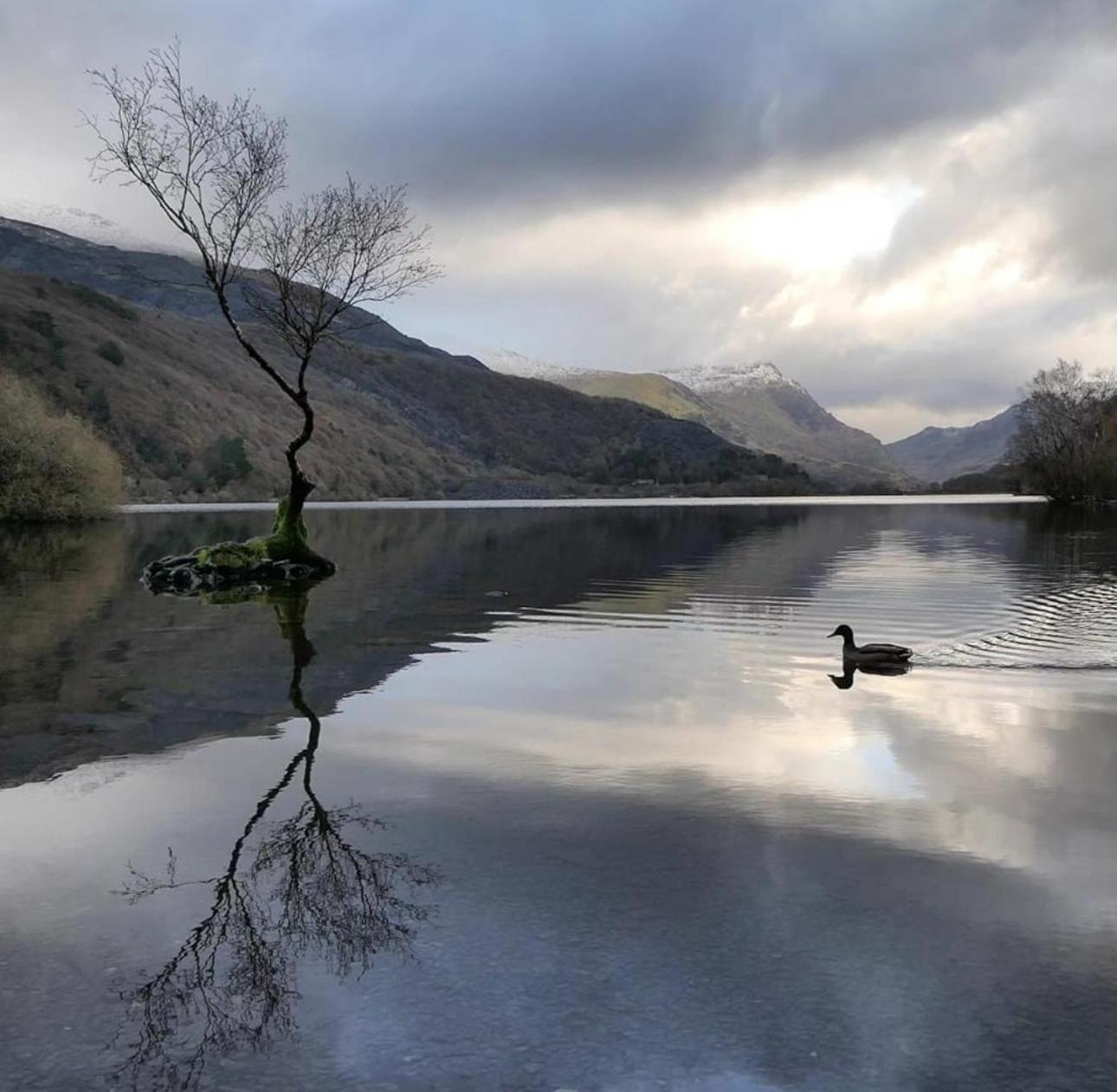Cosy 2 Bedroom Cottage In Betws Y Coed, Snowdonia 외부 사진